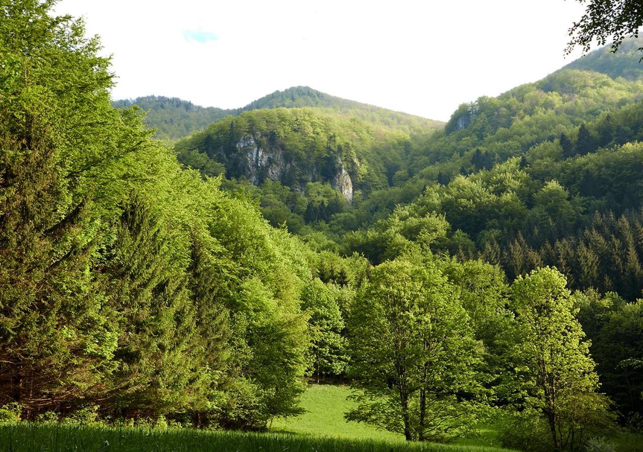 Penzion Pod Strazovom Pruzina Extérieur photo